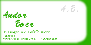 andor boer business card